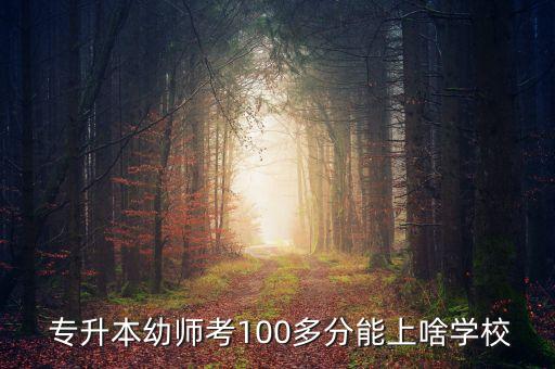  專升本幼師考100多分能上啥學(xué)校