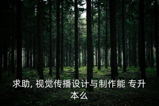 湖南師范大學(xué)視覺傳達(dá)專升本