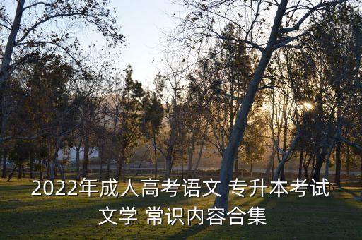 2022年成人高考語(yǔ)文 專(zhuān)升本考試 文學(xué) 常識(shí)內(nèi)容合集