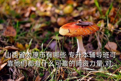 山西省太原市有哪些 專升本輔導(dǎo)班可靠他們都有什么可靠的師資力量,對...