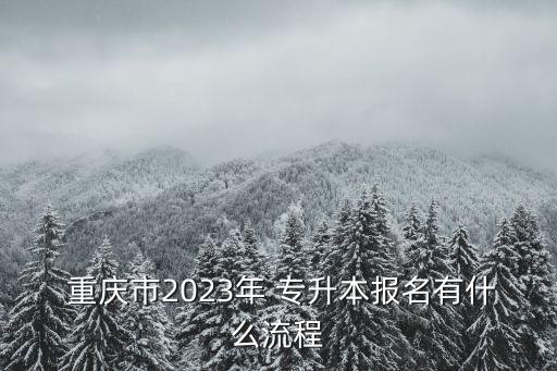  重慶市2023年 專升本報名有什么流程