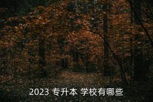 2023 專升本 學校有哪些