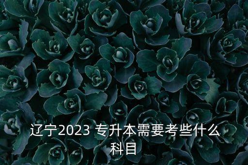  遼寧2023 專升本需要考些什么科目