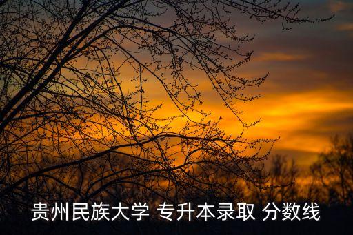 貴州民族大學 專升本錄取 分數線