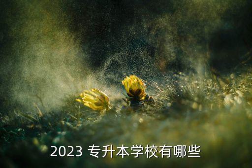 2023 專升本學(xué)校有哪些