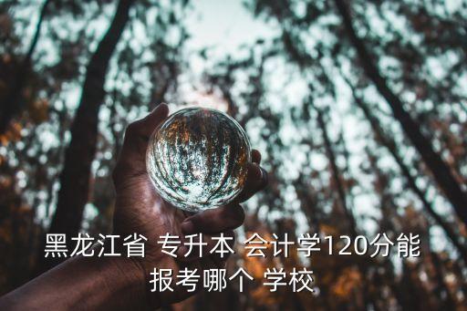 黑龍江省 專升本 會計學(xué)120分能報考哪個 學(xué)校