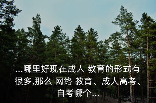 ...哪里好現在成人 教育的形式有很多,那么 網絡 教育、成人高考、自考哪個...