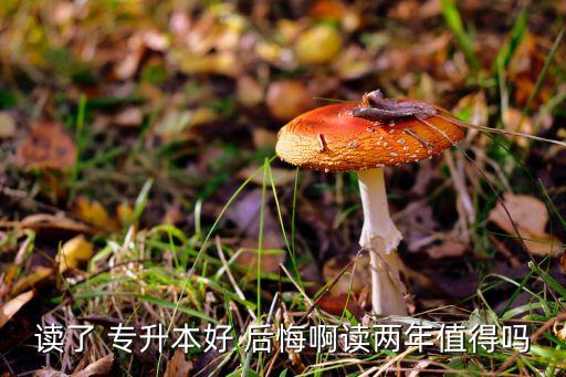 為什么說讀了專升本后悔一生,專升本為什么在別的學校讀