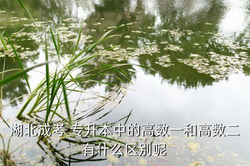 湖北成考 專升本中的高數(shù)一和高數(shù)二有什么區(qū)別呢