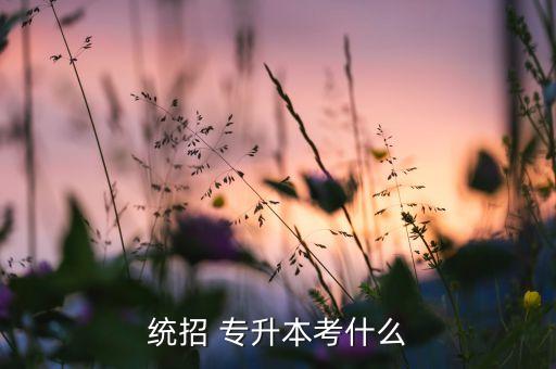 統(tǒng)招 專升本考什么