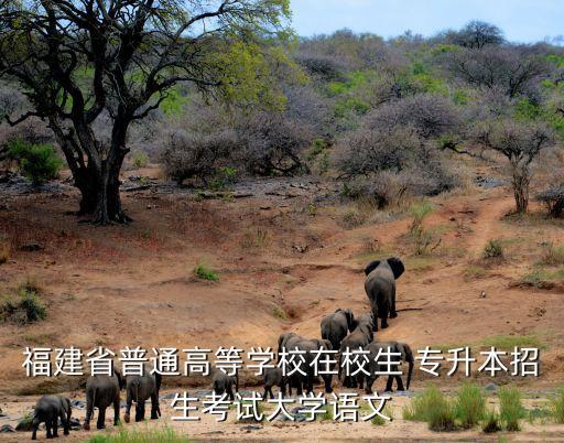 福建省普通高等學校在校生 專升本招生考試大學語文