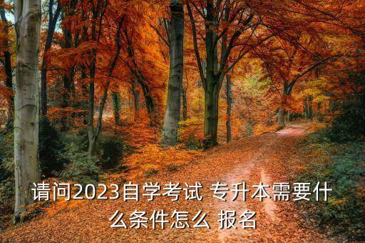 請問2023自學考試 專升本需要什么條件怎么 報名