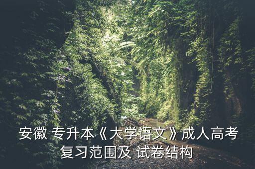  安徽 專(zhuān)升本《大學(xué)語(yǔ)文》成人高考復(fù)習(xí)范圍及 試卷結(jié)構(gòu)