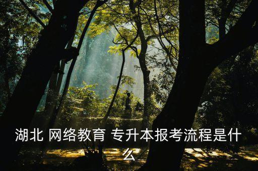 湖北 網(wǎng)絡(luò)教育 專升本報考流程是什么