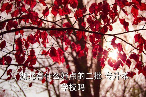 . 湖北有什么好點(diǎn)的二批 專升本 學(xué)校嗎