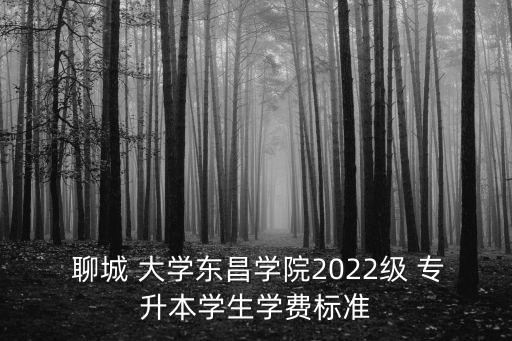  聊城 大學東昌學院2022級 專升本學生學費標準