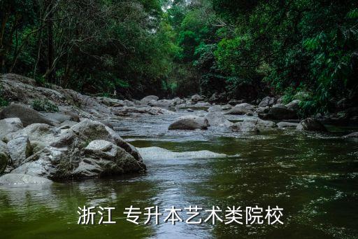  浙江 專升本藝術(shù)類院校