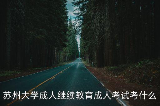 蘇州大學(xué)成人繼續(xù)教育成人考試考什么