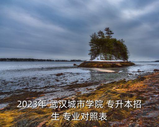 2023年 武漢城市學(xué)院 專升本招生 專業(yè)對照表