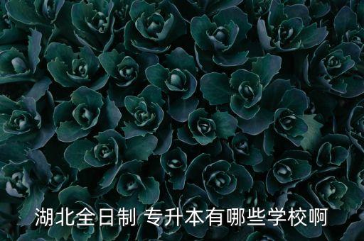 2o17年長(zhǎng)江大學(xué)專(zhuān)升本招生簡(jiǎn)章,長(zhǎng)江大學(xué)文理學(xué)院專(zhuān)升本招生簡(jiǎn)章2022