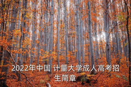 2022年中國 計(jì)量大學(xué)成人高考招生簡章