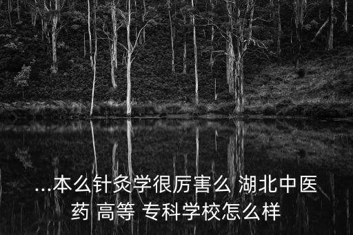 ...本么針灸學(xué)很厲害么 湖北中醫(yī)藥 高等 ?？茖W(xué)校怎么樣