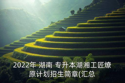 2022年 湖南 專升本湖湘工匠燎原計(jì)劃招生簡(jiǎn)章(匯總