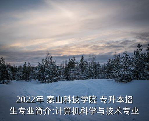 2022年 泰山科技學(xué)院 專升本招生專業(yè)簡(jiǎn)介:計(jì)算機(jī)科學(xué)與技術(shù)專業(yè)