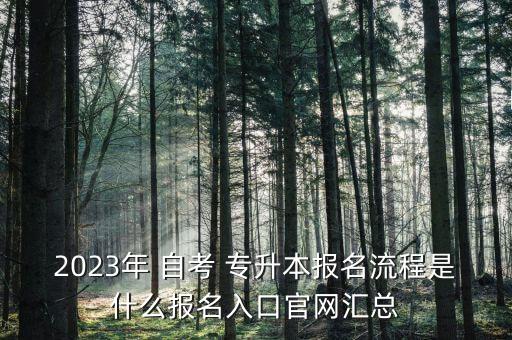 2023年 自考 專升本報名流程是什么報名入口官網(wǎng)匯總