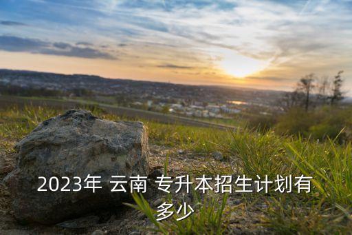 2023年 云南 專升本招生計(jì)劃有多少