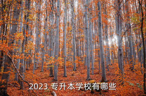 2023 專升本學(xué)校有哪些