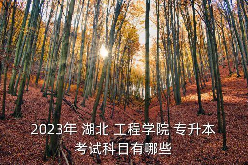 2023年 湖北 工程學院 專升本考試科目有哪些