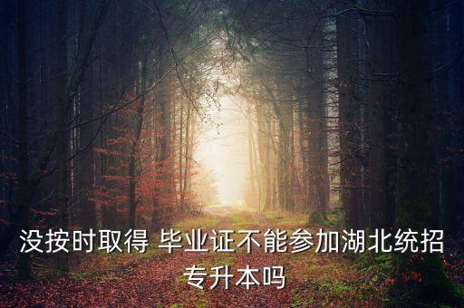 沒按時取得 畢業(yè)證不能參加湖北統(tǒng)招 專升本嗎