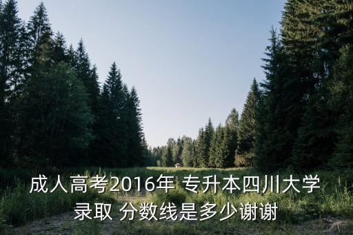 成人高考2016年 專升本四川大學(xué)錄取 分?jǐn)?shù)線是多少謝謝