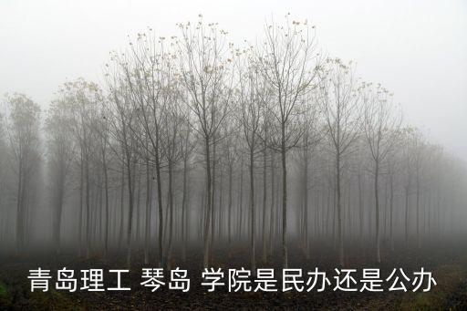 琴島學院專升本學費多少錢,青島理工琴島學院專升本分數(shù)線