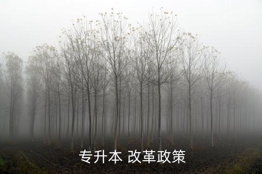  專升本 改革政策