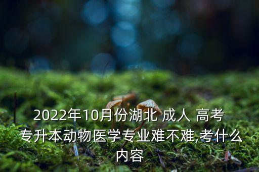 2022年10月份湖北 成人 高考 專升本動物醫(yī)學專業(yè)難不難,考什么內(nèi)容