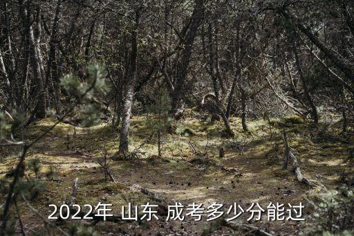 2022年 山東 成考多少分能過(guò)