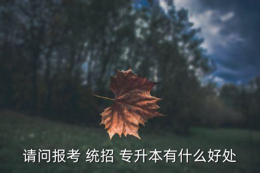 請(qǐng)問(wèn)報(bào)考 統(tǒng)招 專(zhuān)升本有什么好處