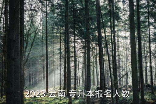 2023 云南 專升本報名人數(shù)