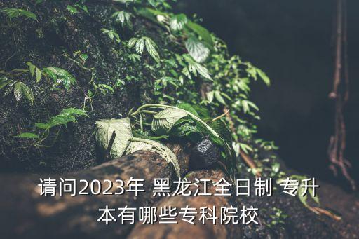 請(qǐng)問(wèn)2023年 黑龍江全日制 專升本有哪些?？圃盒? class=