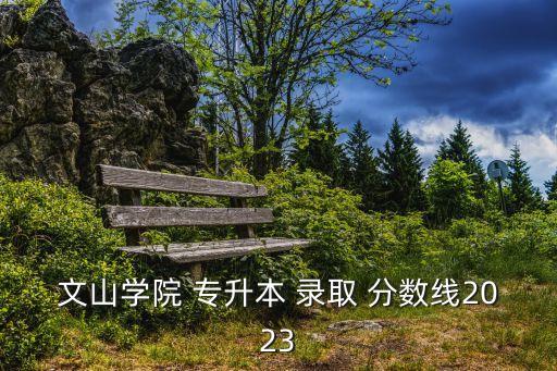 文山學(xué)院 專升本 錄取 分?jǐn)?shù)線2023