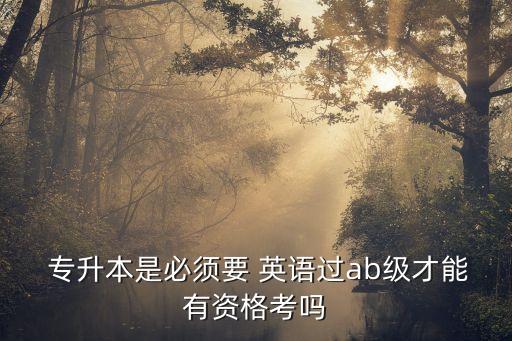 專升本需要過英語(yǔ)b級(jí)嗎