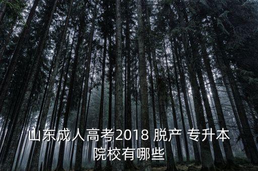 山東成人高考2018 脫產(chǎn) 專升本院校有哪些