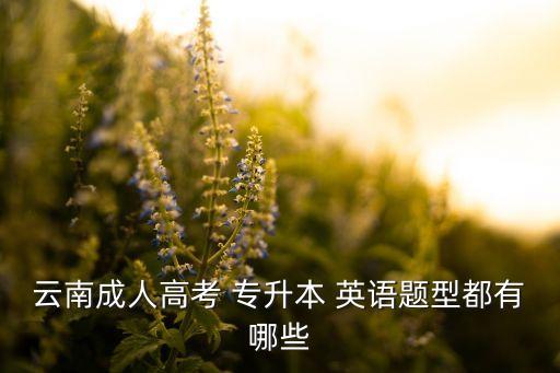 云南成人高考 專升本 英語題型都有哪些