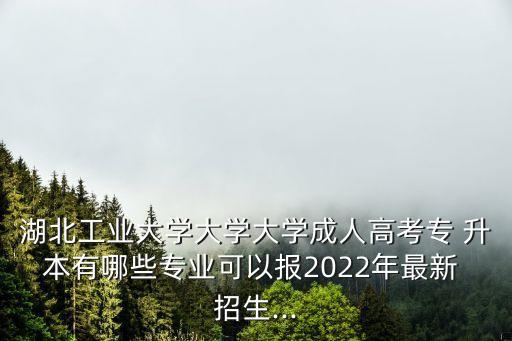 湖北工業(yè)大學大學大學成人高考專 升本有哪些專業(yè)可以報2022年最新 招生...