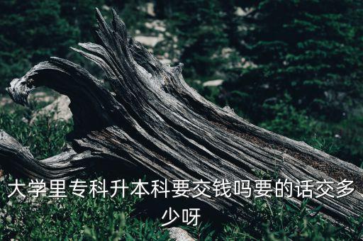 遠程教育專升本需要多少錢,鄭州大學(xué)遠程教育專升本