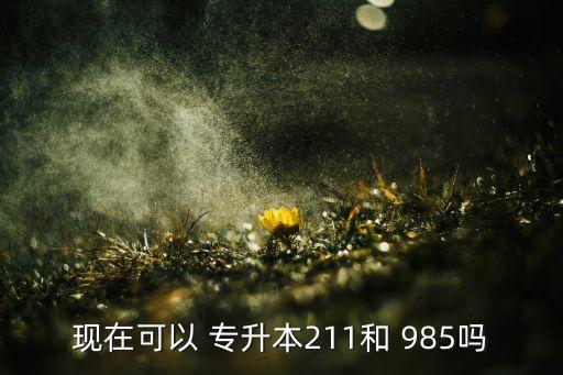 現(xiàn)在可以 專升本211和 985嗎