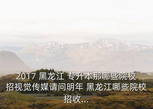 2017黑龍江針推專升本,黑龍江專升本2017年藝術(shù)概論真題