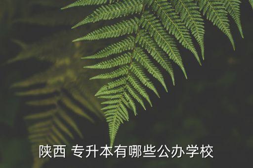 陜西 專升本有哪些公辦學校